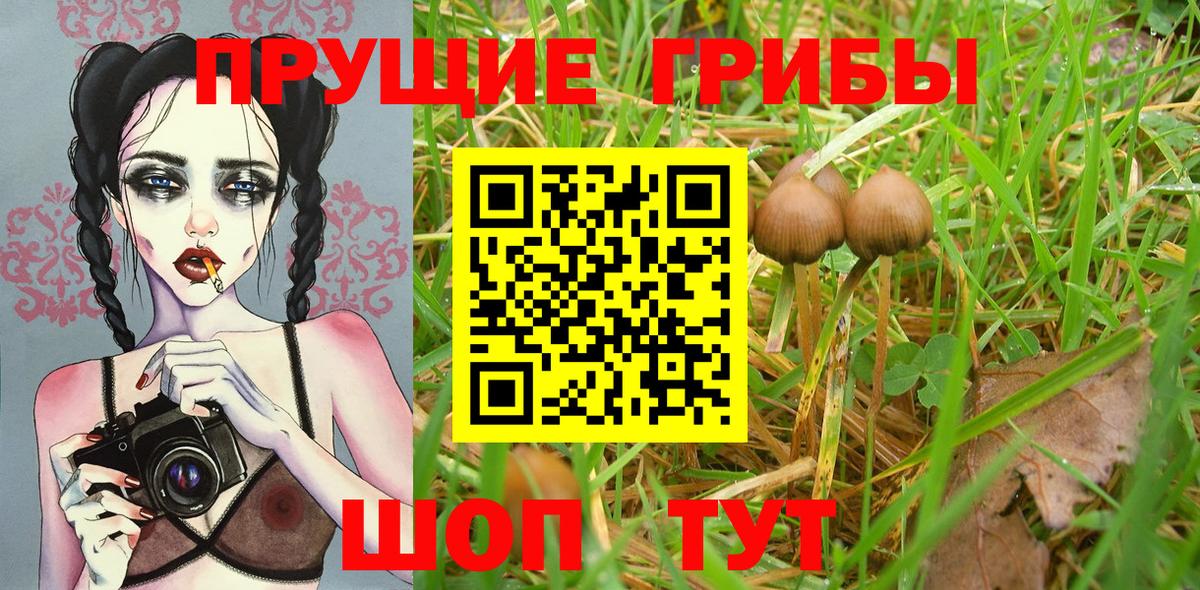 Псилоцибиновые грибы Psilocybe  Вход с VPN  Апрелевка  Галлюциногенные грибы Cubensis 