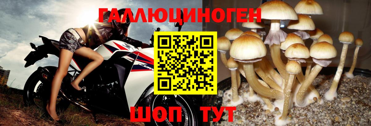 Псилоцибиновые грибы прущие грибы Апрелевка